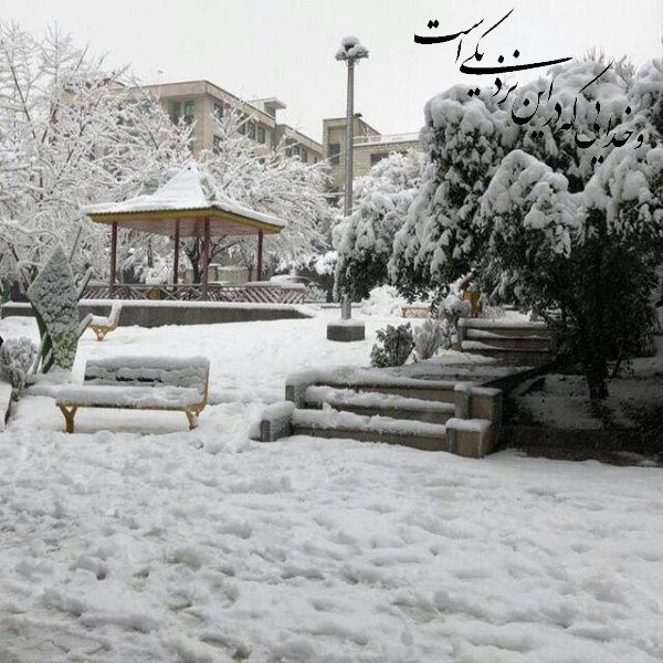 ور تو قبول می‌کنی با همه نقص فاضلم!