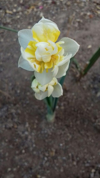 به لطف خویش بخوان!